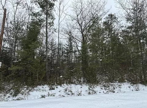 lot115 Bonita Dr, Presque Isle, MI 49777