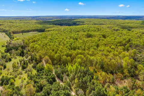 Ashley Road, Vanderbilt, MI 49795 photo 5