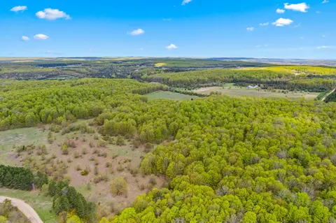 Ashley Road, Vanderbilt, MI 49795 photo 7