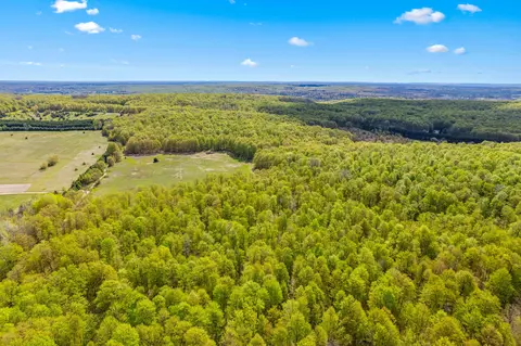 Ashley Road, Vanderbilt, MI 49795 photo 6