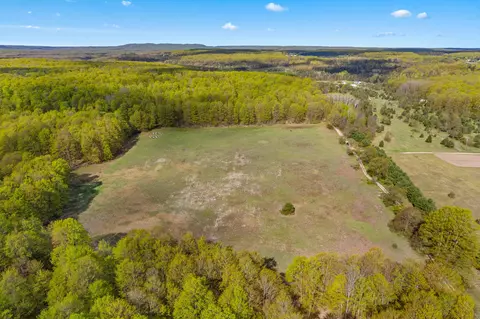 Ashley Road, Vanderbilt, MI 49795 photo 9