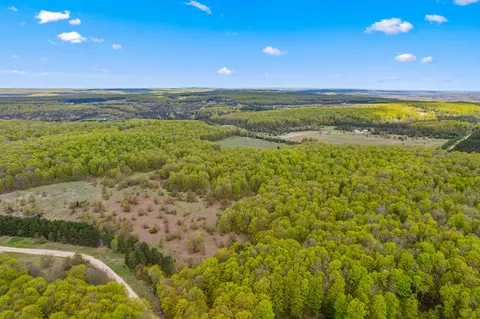 Ashley Road, Vanderbilt, MI 49795 photo 11