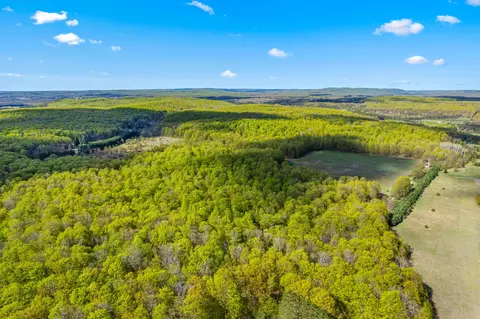 Ashley Road, Vanderbilt, MI 49795 photo 8