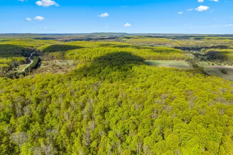 Ashley Road, Vanderbilt, MI 49795 photo 12