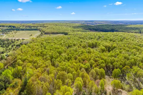 Ashley Road, Vanderbilt, MI 49795 photo 10