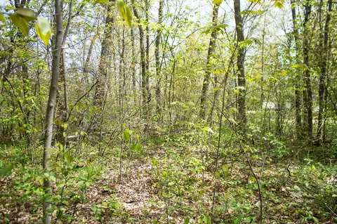 lot43 Honey Ln, Johannesburg, MI 49751