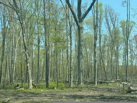 W Pine Drive, Roscommon, MI 48653
