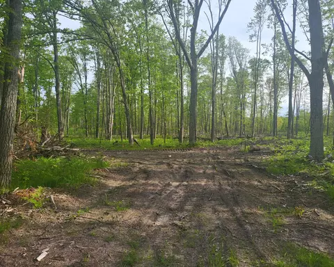 W Pine Drive, Roscommon, MI 48653 photo 6