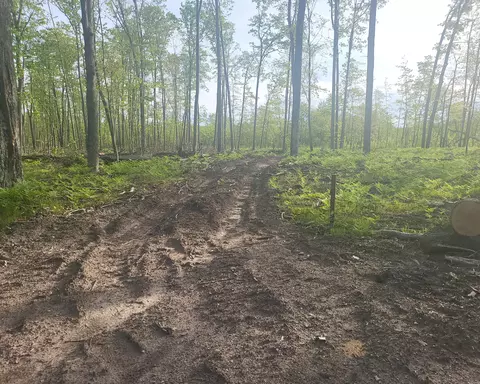 W Pine Drive, Roscommon, MI 48653 photo 5