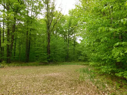Buck Trail, Frederic, MI 49733 photo 9