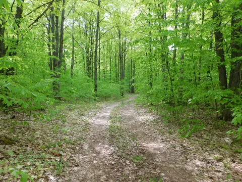 Buck Trail, Frederic, MI 49733 photo 4