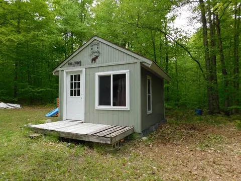 Buck Trail, Frederic, MI 49733 photo 18