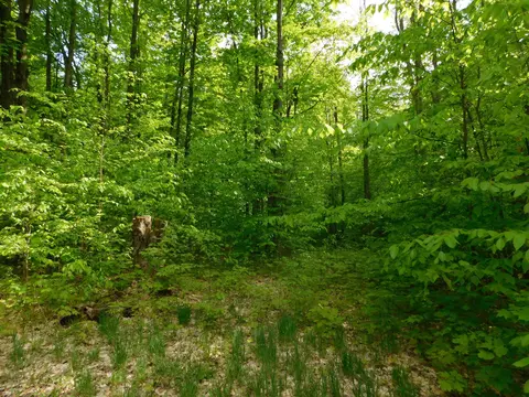 Buck Trail, Frederic, MI 49733 photo 30