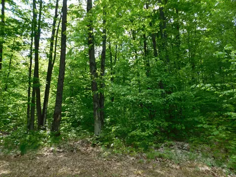 Buck Trail, Frederic, MI 49733 photo 29
