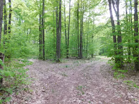 Buck Trail, Frederic, MI 49733 photo 8