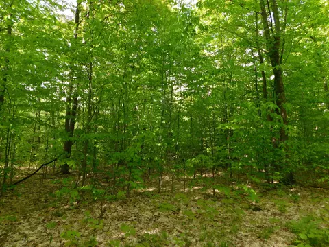 Buck Trail, Frederic, MI 49733 photo 34