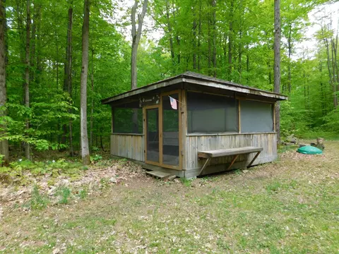 Buck Trail, Frederic, MI 49733 photo 21