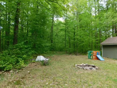 Buck Trail, Frederic, MI 49733 photo 11