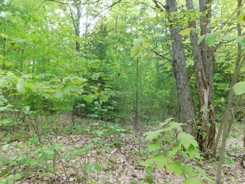Buck Trail, Frederic, MI 49733 photo 41