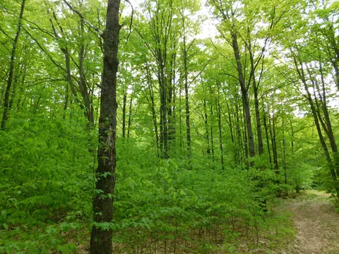 Buck Trail, Frederic, MI 49733 photo 7
