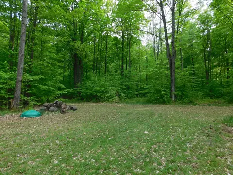 Buck Trail, Frederic, MI 49733 photo 10