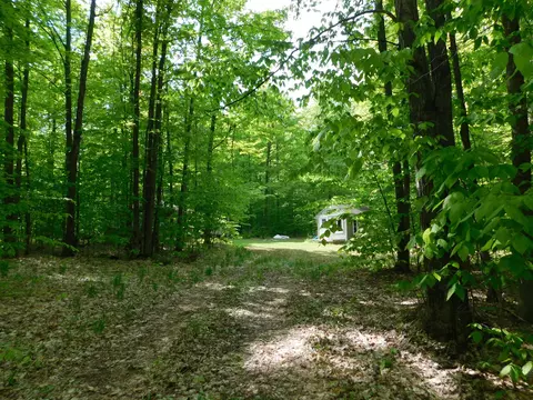 Buck Trail, Frederic, MI 49733 photo 33