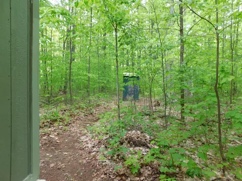 Buck Trail, Frederic, MI 49733 photo 26