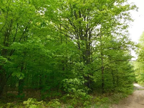 Buck Trail, Frederic, MI 49733 photo 40