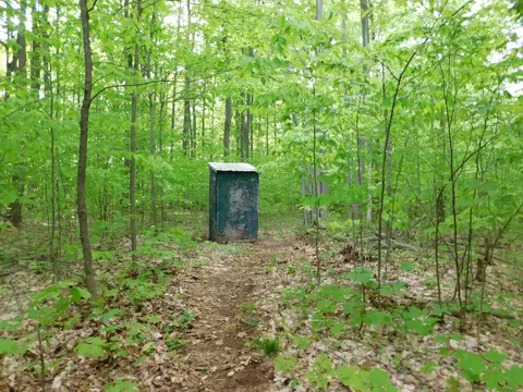 Buck Trail, Frederic, MI 49733 photo 27