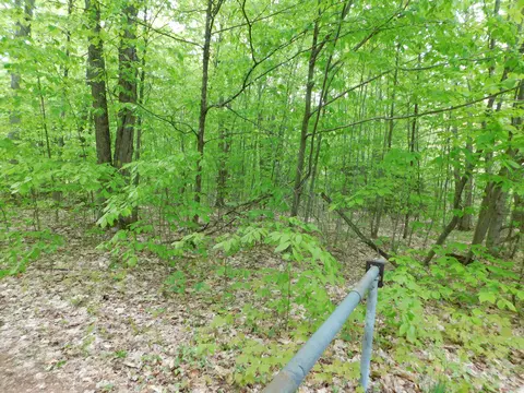 Buck Trail, Frederic, MI 49733 photo 5