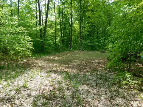 Buck Trail, Frederic, MI 49733 photo 31