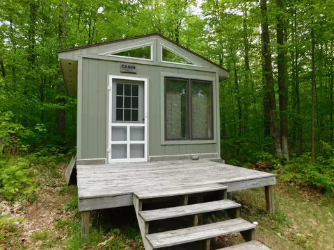 Buck Trail, Frederic, MI 49733 photo 12