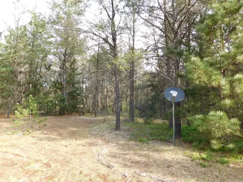 Exterior - 21 E Timber Trl, Grayling, MI 49738 photo 9 of 12
