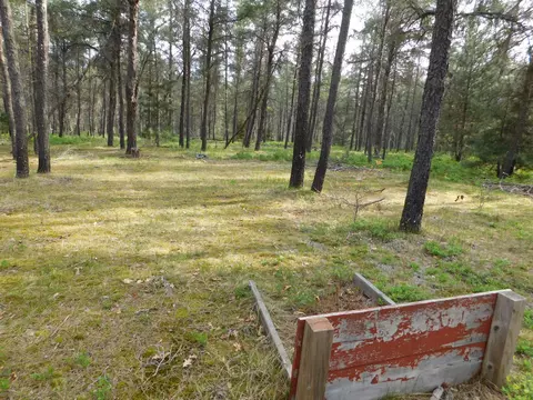 Exterior - 21 E Timber Trl, Grayling, MI 49738 photo 6 of 12