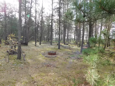 Exterior - 21 E Timber Trl, Grayling, MI 49738 photo 5 of 12