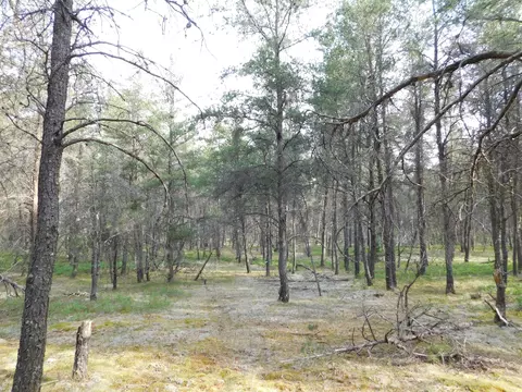 Exterior - 21 E Timber Trl, Grayling, MI 49738 photo 8 of 12