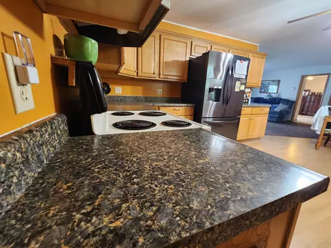 334 Cheri Drive Mio Mi 48647 Dr, Mio, MI 48647 photo 4