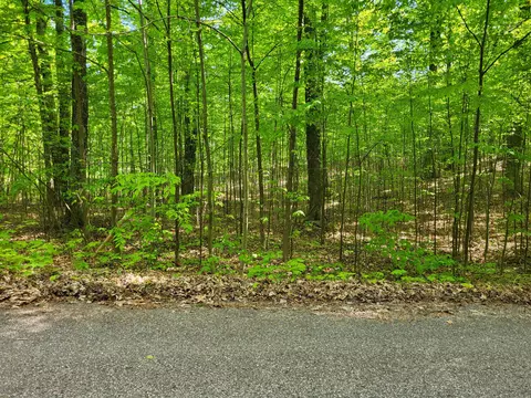 lot22 Cubs Way Vanderbilt Mi 49795, Vanderbilt, MI 49795