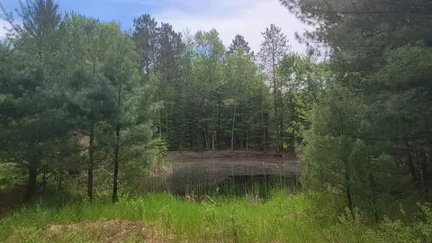 S Gladwin Road, Prudenville, MI 48651