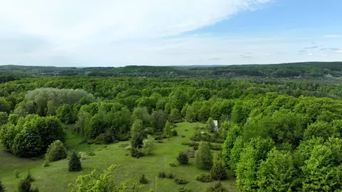 Rogers Road, East Jordan, MI 49727