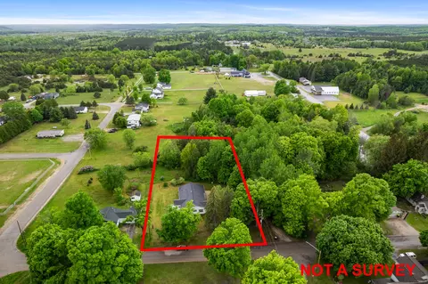 13064 Roosevelt St, Wolverine, MI 49799 photo 32