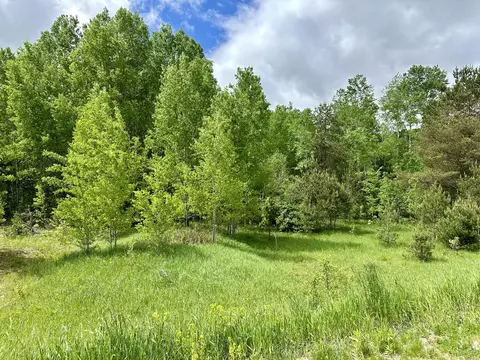 lot63 64 Golfview, Gaylord, MI 49735