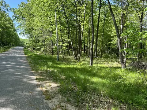 121 Burlington Dr, Roscommon, MI 48653