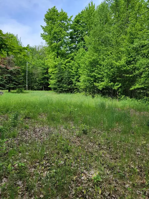5469 Old Vanderbilt Road Vanderbilt Mi 49795 Rd, Vanderbilt, MI 49795 photo 4