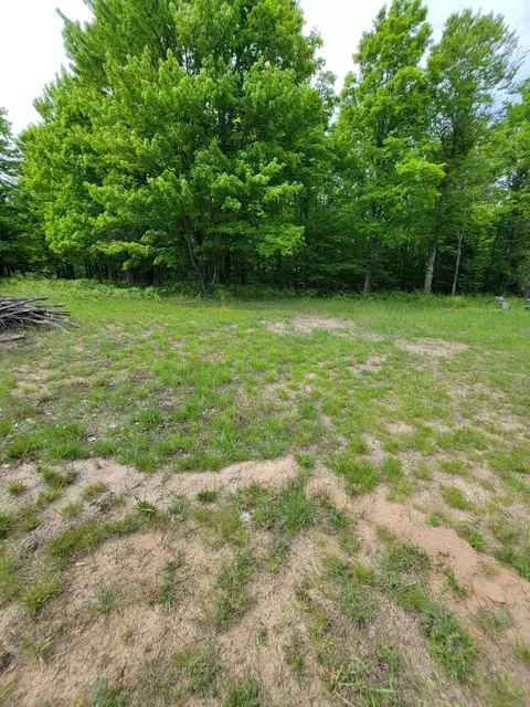 5469 Old Vanderbilt Road Vanderbilt Mi 49795 Rd, Vanderbilt, MI 49795 photo 6