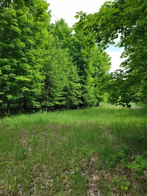 5469 Old Vanderbilt Road Vanderbilt Mi 49795 Rd, Vanderbilt, MI 49795 photo 5