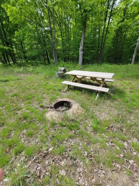 5469 Old Vanderbilt Road Vanderbilt Mi 49795 Rd, Vanderbilt, MI 49795 photo 3