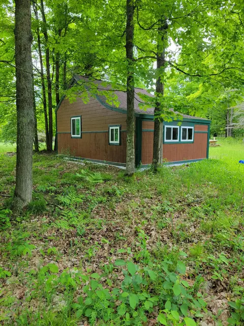 5469 Old Vanderbilt Road Vanderbilt Mi 49795 Rd, Vanderbilt, MI 49795
