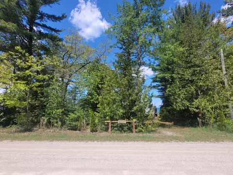 10516 Raven Dr, Ocqueoc, MI 49759 photo 6