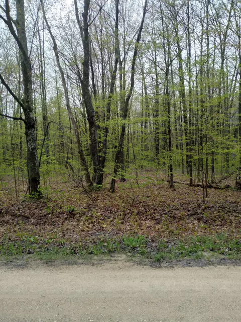 214-215 Valleyview Drive Elmira Mi 49730 Dr, Elmira, MI 49730
